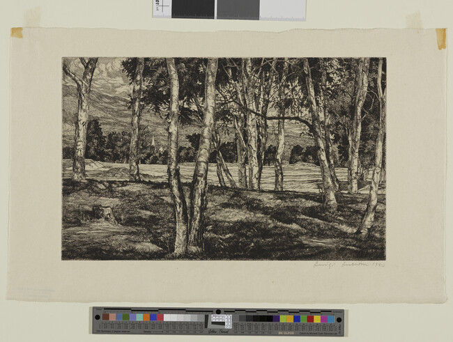 Alternate image #1 of Birch Patterns (Landscape in Vermont)