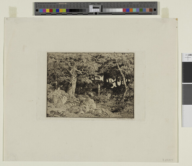 Alternate image #1 of Chênes de Roche (Oak Trees Growing Among Rocks)