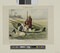 Alternate image #1 of Un homme à la mer (Man Overboard), plate 14 from the series Les Canotiers Parisiens (Parisian Boaters)
