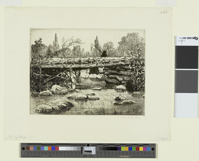 Alternate image #1 of The Log Bridge