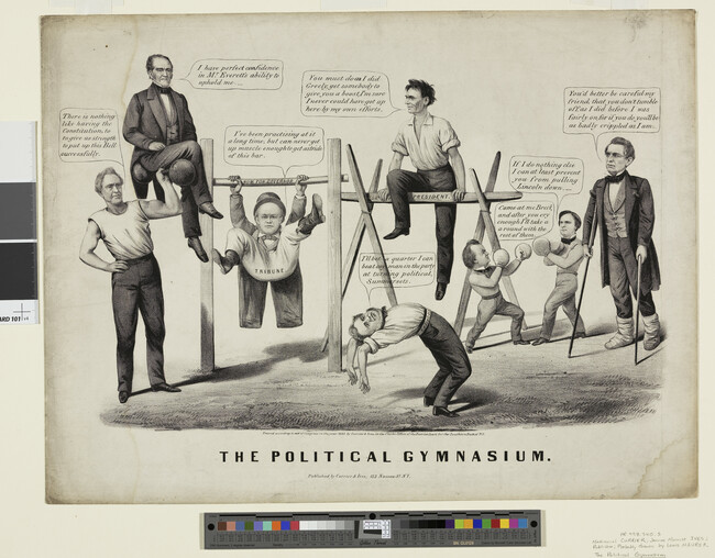 Alternate image #1 of The Political Gymnasium