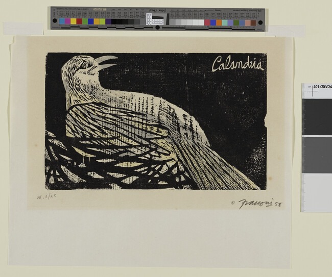Alternate image #1 of Calandria ; Argentine Calandria Mocking-Bird, from William Henry Hudson's Birds from my Homeland