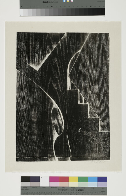 Alternate image #2 of Untitled, number one of six; from the portfolio Mel Kendrick Woodprints