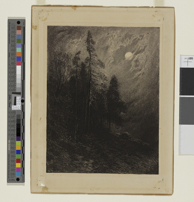Alternate image #1 of Cedars by Moonlight