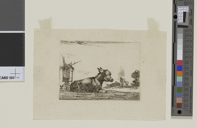 Alternate image #1 of Donkey, Plate 11 from Agréable diversité de figures (Agreeable Diversity of Figures)