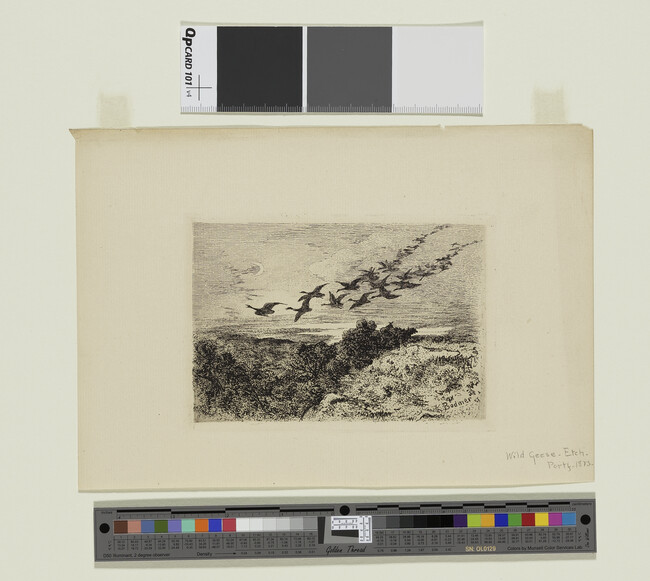 Alternate image #1 of Wild Geese, from The Portfolio (1873)