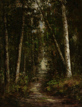 Forest Path