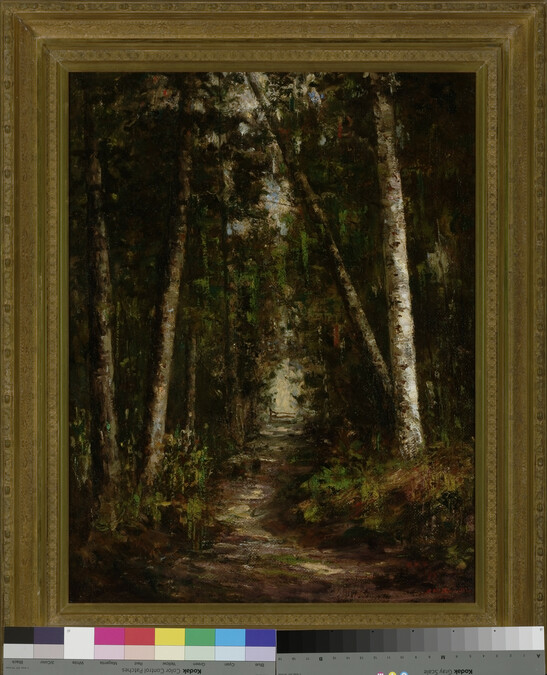 Alternate image #1 of Forest Path