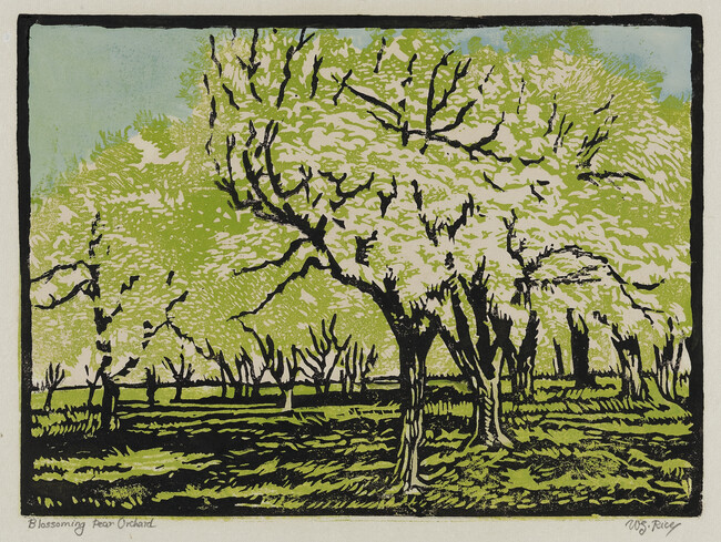Blossoming Pear Orchard