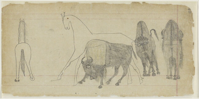 Untitled (Horses and Buffalo), page number 240, from the 