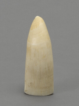 Scrimshaw Whale`s Tooth with a Partially Engraved Ship