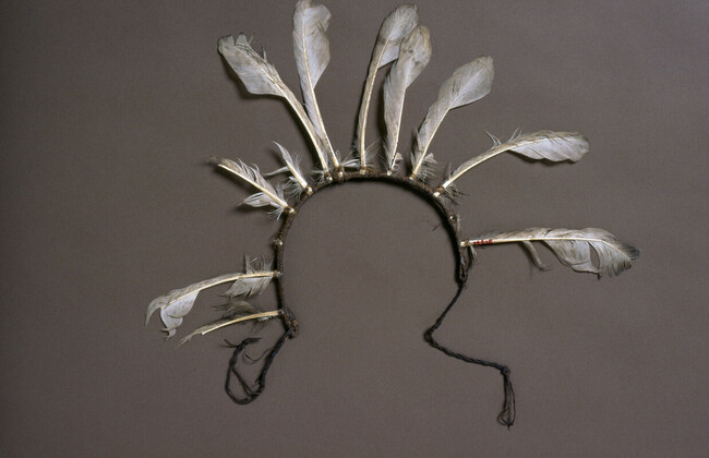 Feather Headdress