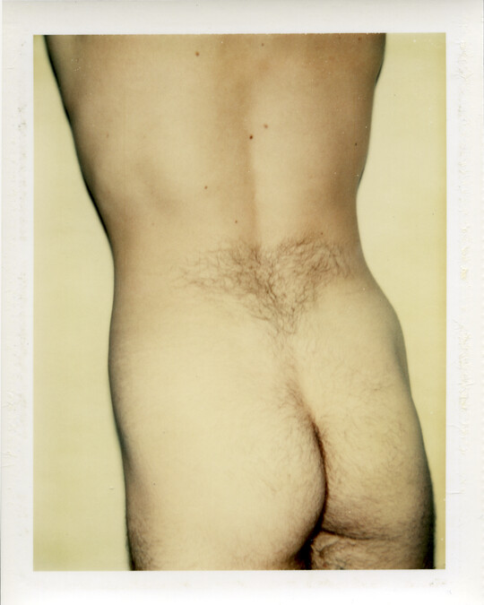 Nude Model (Male)
