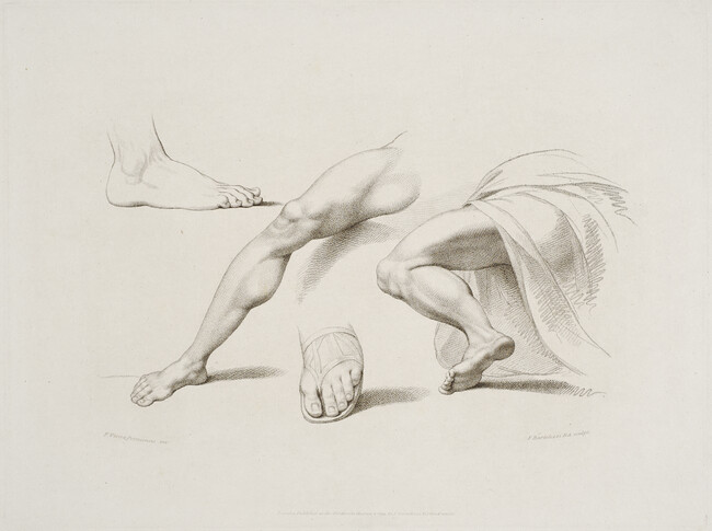 Untitled (Study of Legs and Feet) from Elements of Drawings