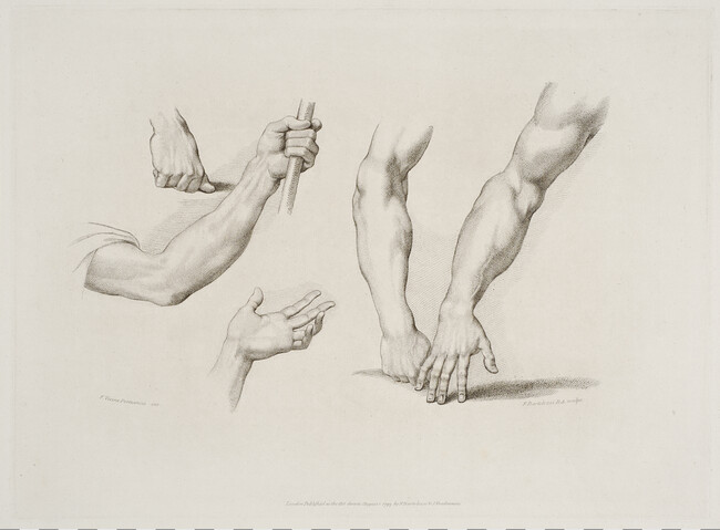 Untitled (Study of Arms and Hands) from Elements of Drawings