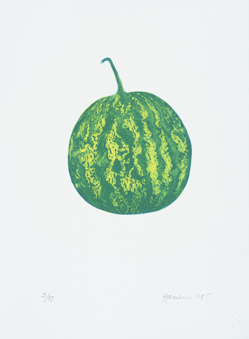 Watermelon, from Portfolio 2008