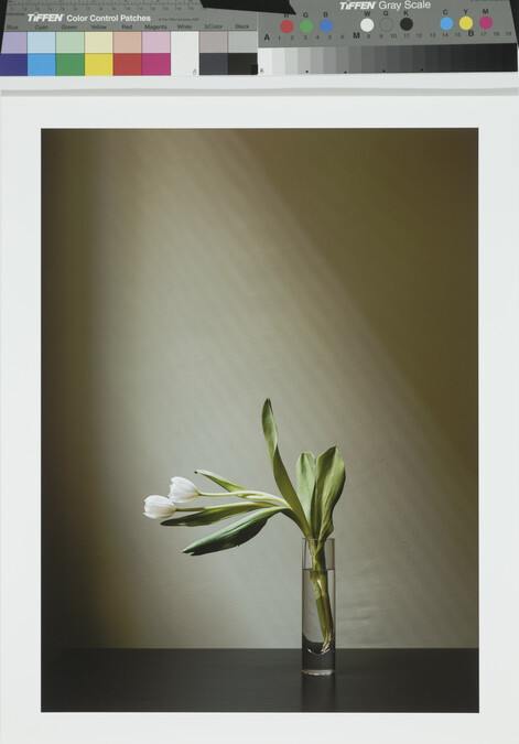 Alternate image #1 of Tulips, from the portfolio every breath we drew