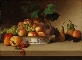 An Abundance of Fruit