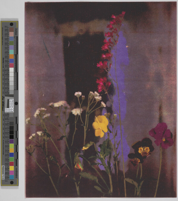 Alternate image #3 of Pansies and Small Flowers #2