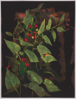 Leaves and Berries #2