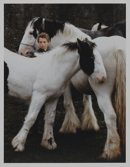 Boy with Piebalds, Ballinasloe Horsefair, Galway, from the portfolio Selected Images of Ireland