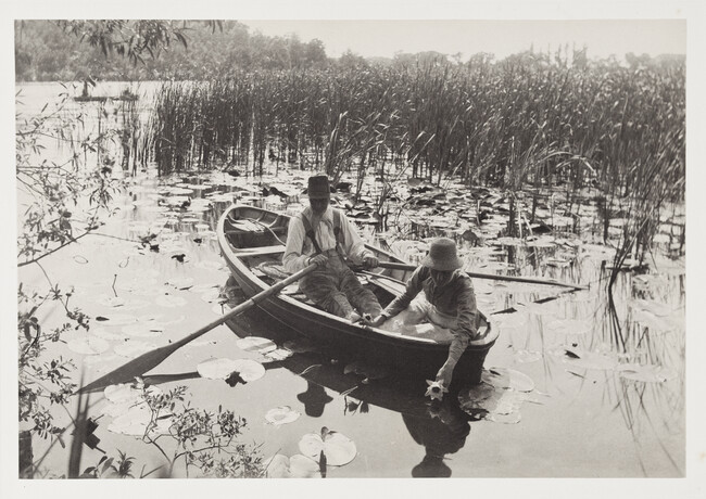 Gathering Waterlilies, plate IX, from  Life and Landscape on the Norfolk Broads