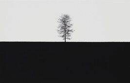 Tree #15
