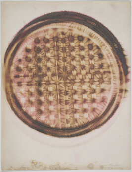 Thermogram, Pattern of Waffle Iron