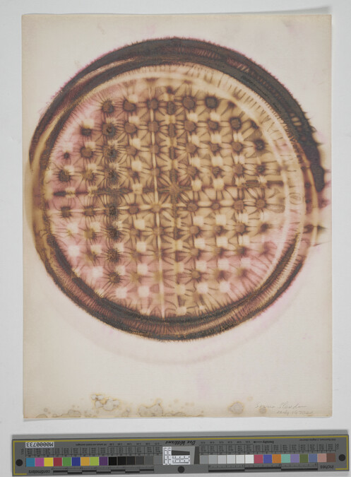 Alternate image #3 of Thermogram, Pattern of Waffle Iron