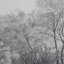 Tuscany (85-IR-2), Feste di Foglia (Celebration of Leaves) Series