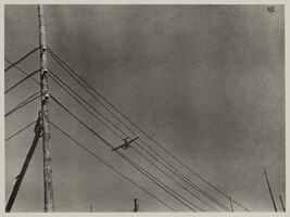 Telegraph Wires with Airplanes
