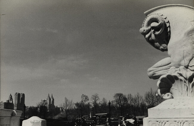 Ram's Head Statue, Central Park, New York