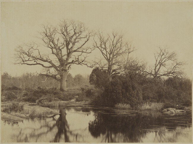 Pond at Piat of Belle-Croix (Forest of Fontainebleau)