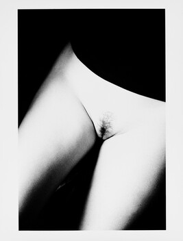 Nude; from the portfolio The Infinite Beauty of the Female Form
