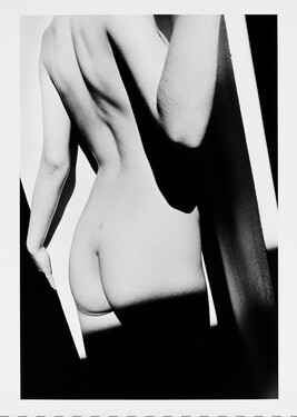 Nude; from the portfolio The Infinite Beauty of the Female Form