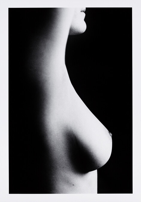 Nude; from the portfolio The Infinite Beauty of the Female Form