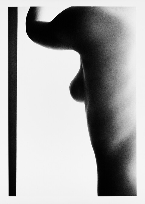 Nude; from the portfolio The Infinite Beauty of the Female Form