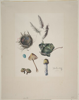 Nature Painting (mushrooms, feathers, egg, acorns, leaf and bird;s nest)