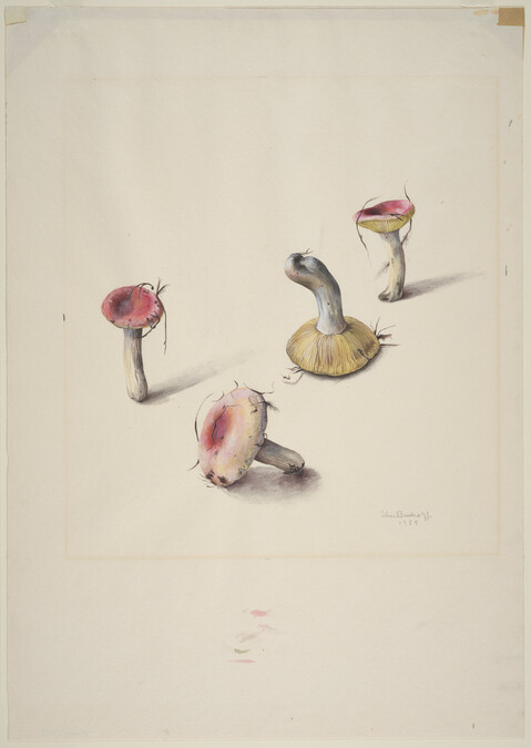 Toadstools