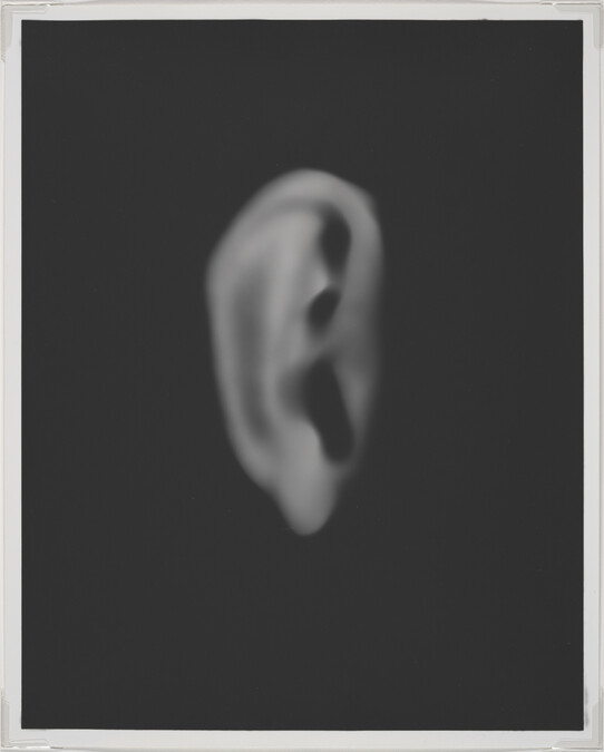 Ear, from Series 5