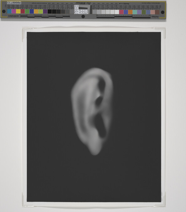 Alternate image #1 of Ear, from Series 5