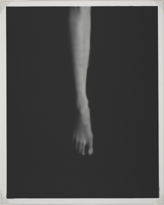 Leg, from Series 5