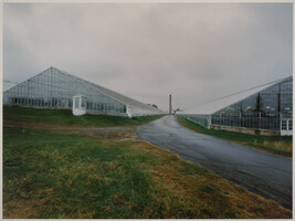 Elliot Rose Company Greenhouses, Madbury, New Hampshire