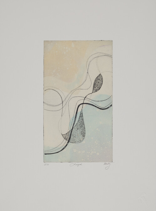 Looped, from the Portfolio of Prints 2011 (Two River Printmaking Studio, 10th Anniversary)