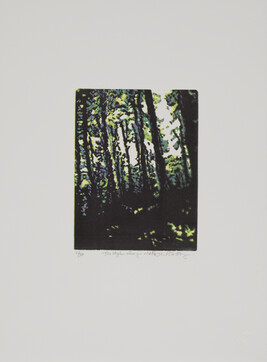 Die Vogelein Schweigen im Walde, from the Portfolio of Prints 2011 (Two River Printmaking Studio, 10th...