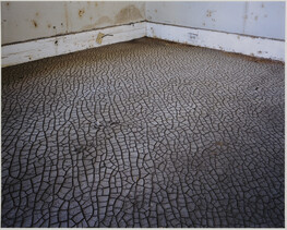 Living Room Floor, Ninth Ward