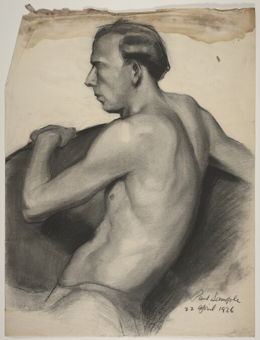 Untitled (Male Nude Torso)