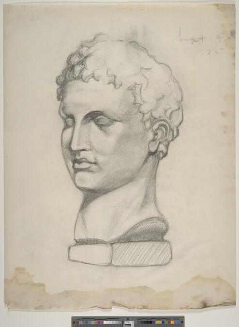 Alternate image #1 of Untitled (Sketch of Marble Bust)