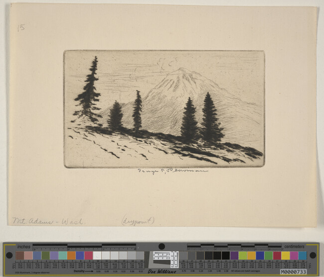 Alternate image #1 of Mount Adams, Washington