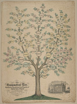 The Grammatical Tree